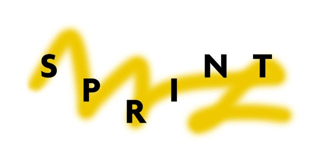 Sprint 2017